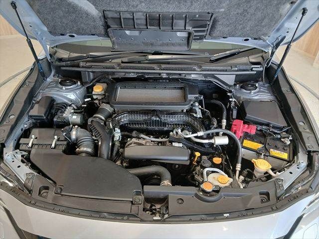 LEVORG LAYBACK