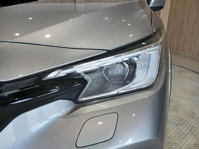 LEVORG LAYBACK