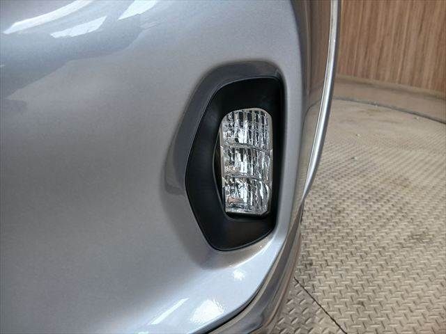 LEVORG LAYBACK