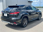 LEXUS RX300