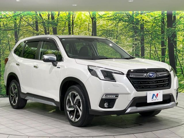 FORESTER