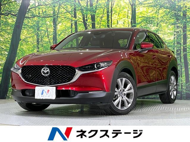 CX-30