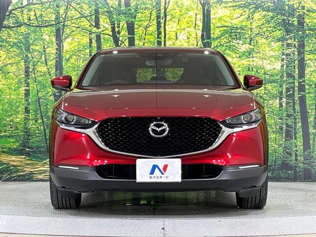CX-30