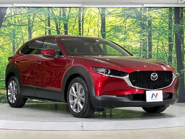 CX-30