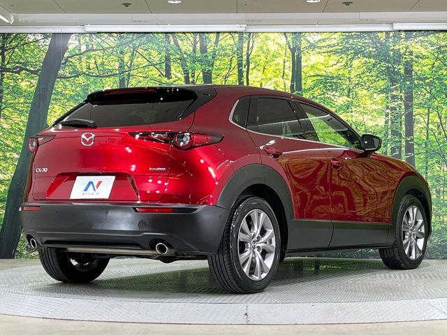 CX-30