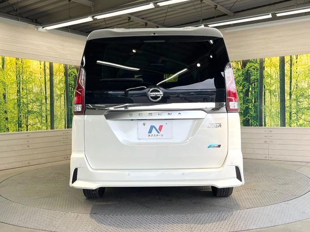 SERENA  S-HYBRID