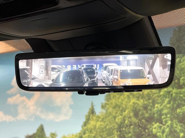 LEXUS RX500h
