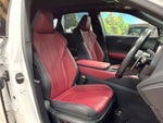 LEXUS RX500h