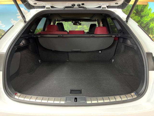 LEXUS RX500h