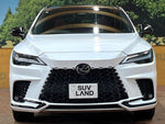 LEXUS RX500h
