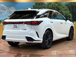 LEXUS RX500h