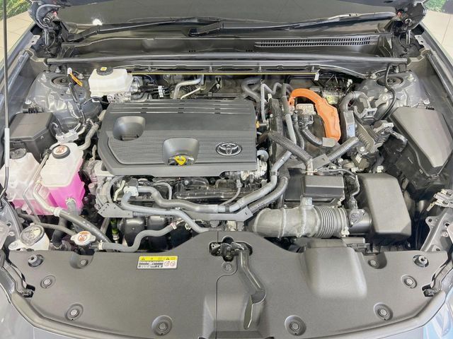 CROWN SPORT
