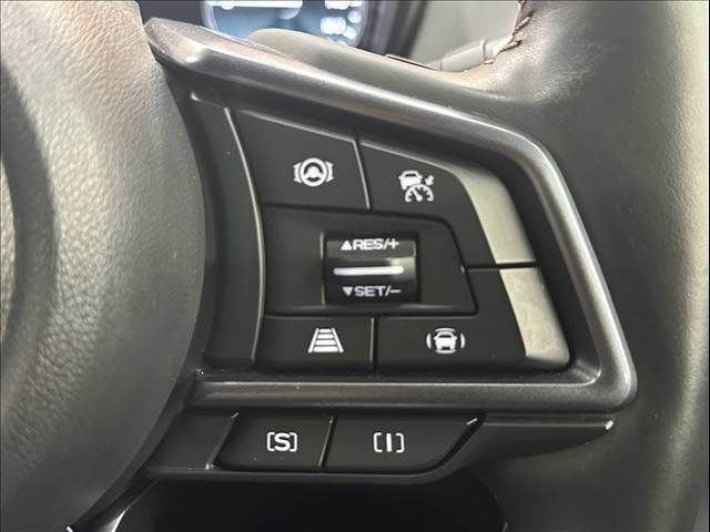 LEVORG LAYBACK