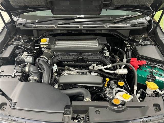 LEVORG LAYBACK