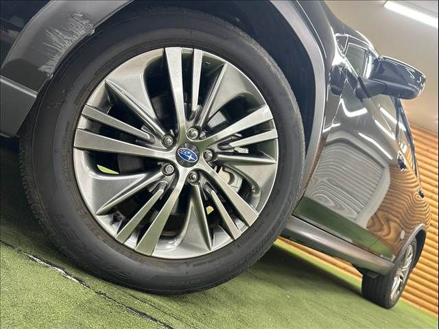 LEVORG LAYBACK