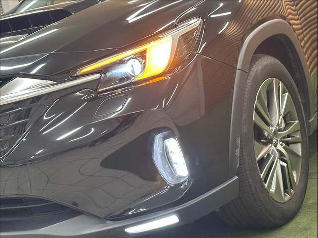 LEVORG LAYBACK