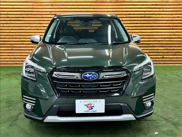 FORESTER