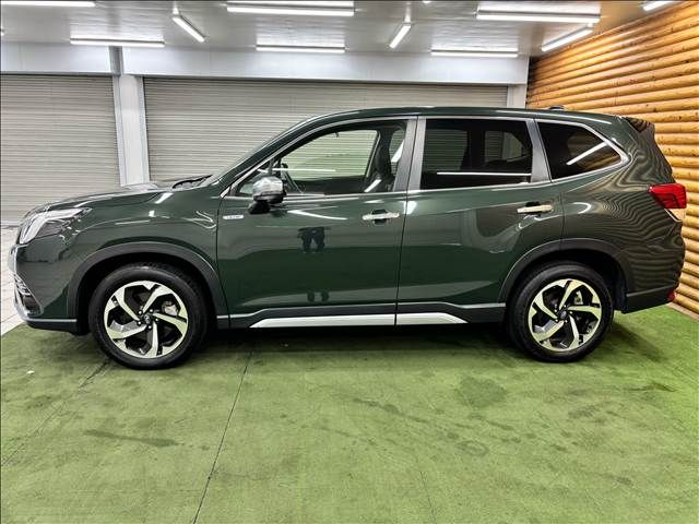 FORESTER
