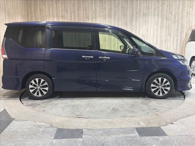 SERENA  S-HYBRID