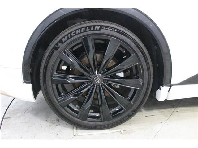 CROWN SPORT