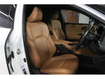 CROWN SPORT