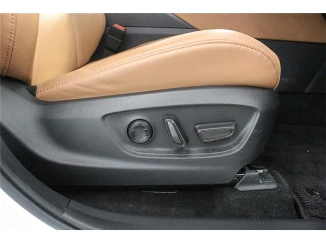 CROWN SPORT