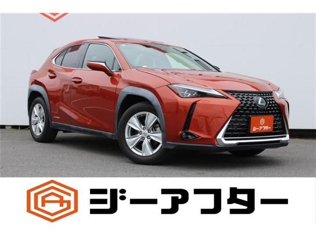 LEXUS UX250h