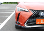 LEXUS UX250h