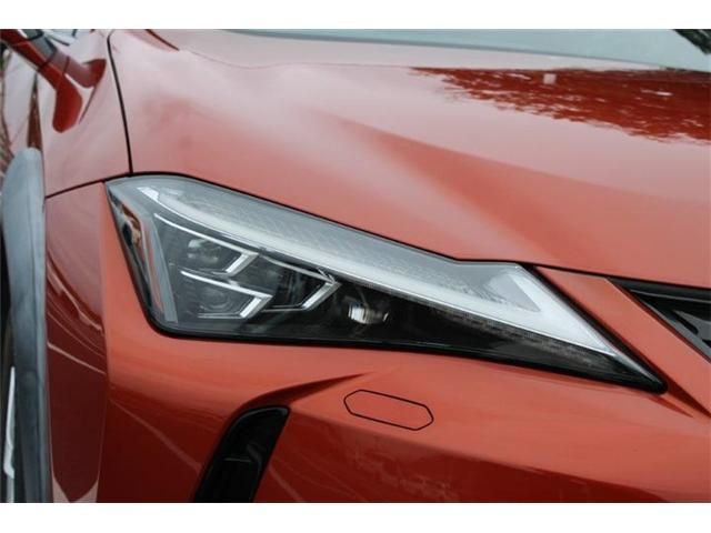 LEXUS UX250h