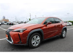 LEXUS UX250h