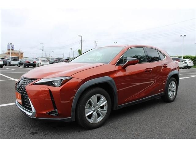 LEXUS UX250h