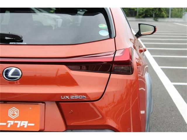 LEXUS UX250h