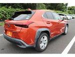 LEXUS UX250h