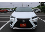 LEXUS NX300