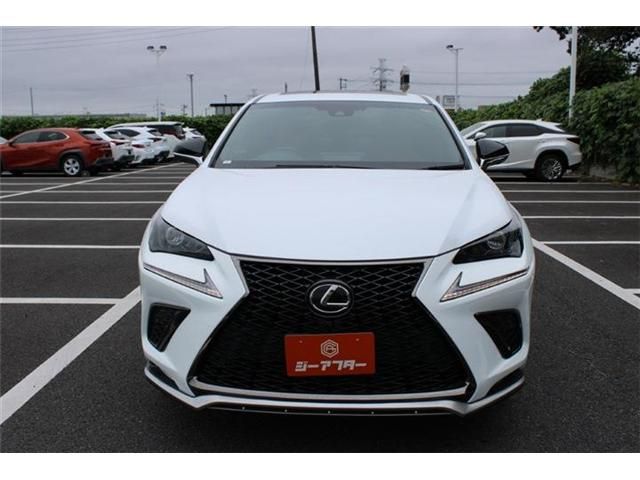 LEXUS NX300