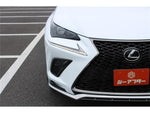 LEXUS NX300