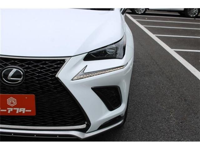 LEXUS NX300