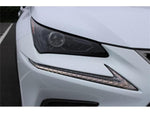 LEXUS NX300