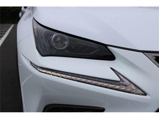 LEXUS NX300
