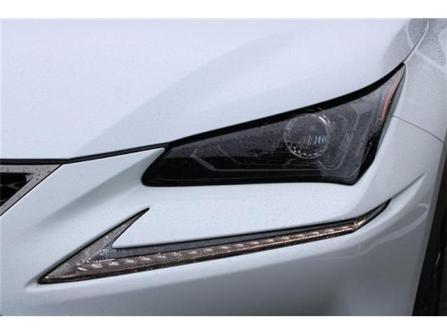 LEXUS NX300