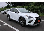 LEXUS NX300