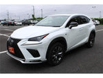 LEXUS NX300