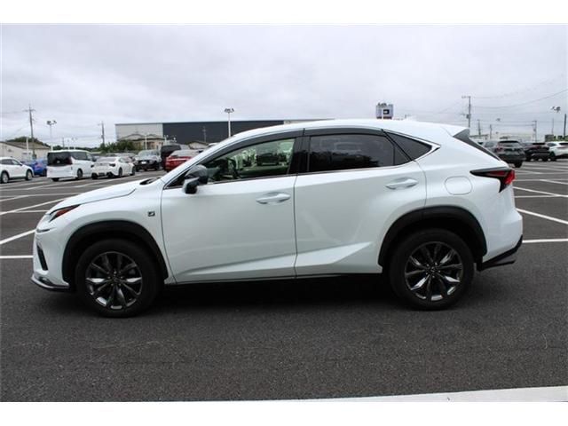 LEXUS NX300
