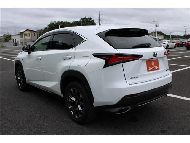 LEXUS NX300