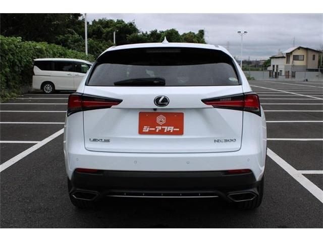 LEXUS NX300