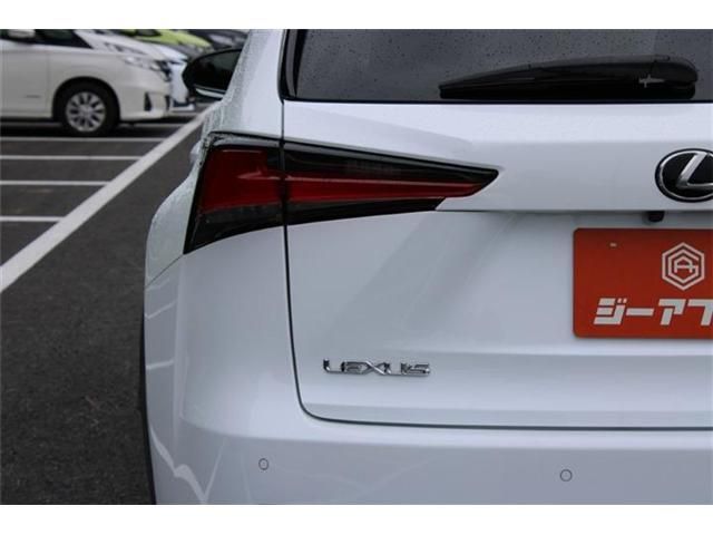LEXUS NX300