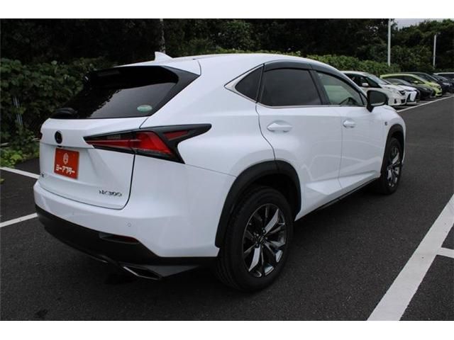 LEXUS NX300