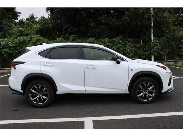 LEXUS NX300