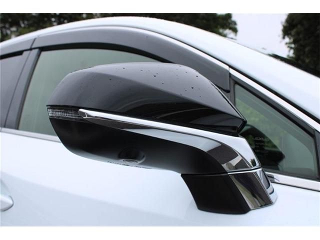 LEXUS NX300