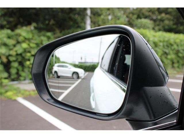 LEXUS NX300